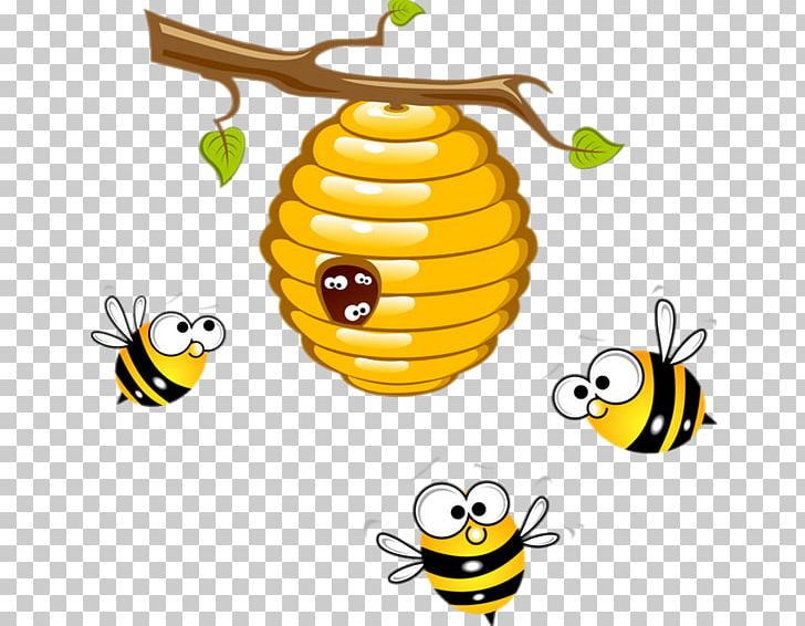 Honey bee beehive.