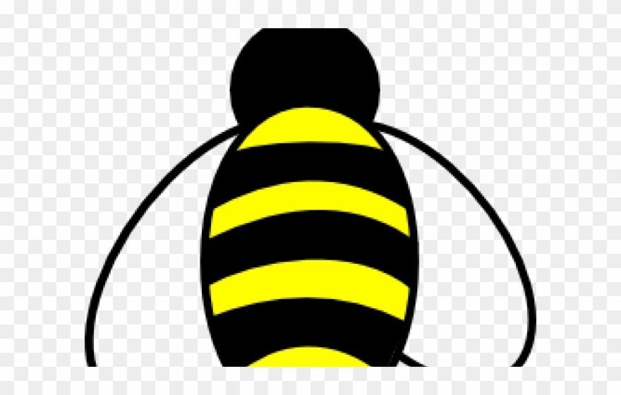 Bumblebee clipart bee.