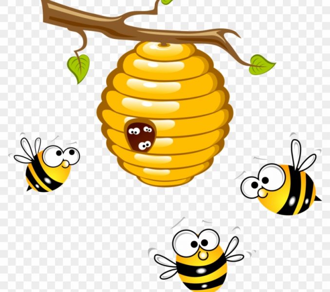 Honey bee drawing.