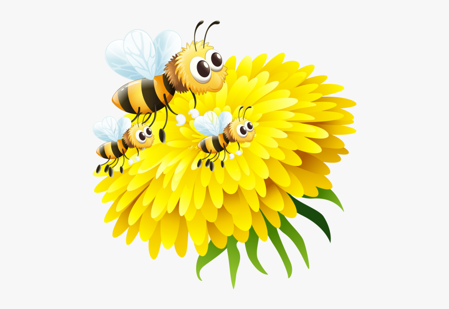 Bee flower bee.
