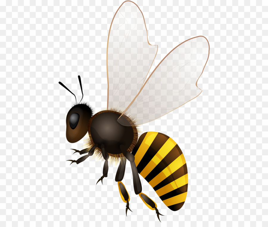 Illustrated bees png.