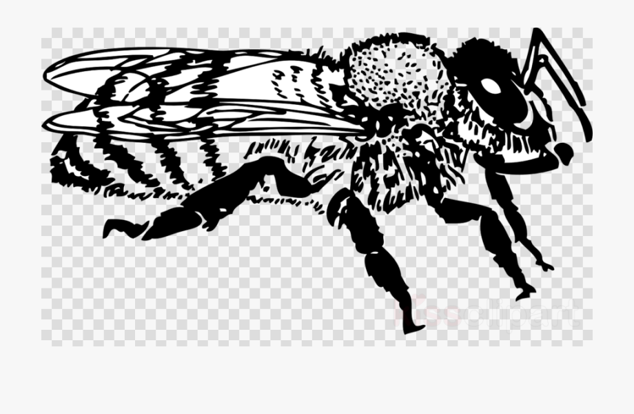 Bees Clipart Black