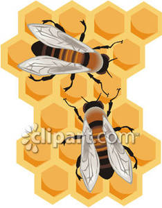 Realistic honey bees.