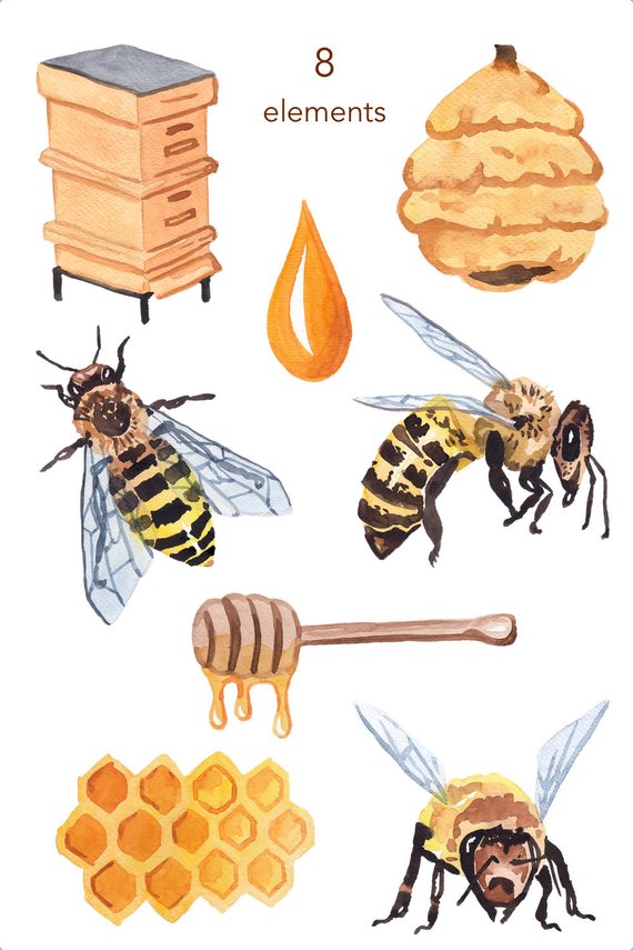 WATERCOLOR CLIPART, bee clipart, honey, nature, scrapbooking