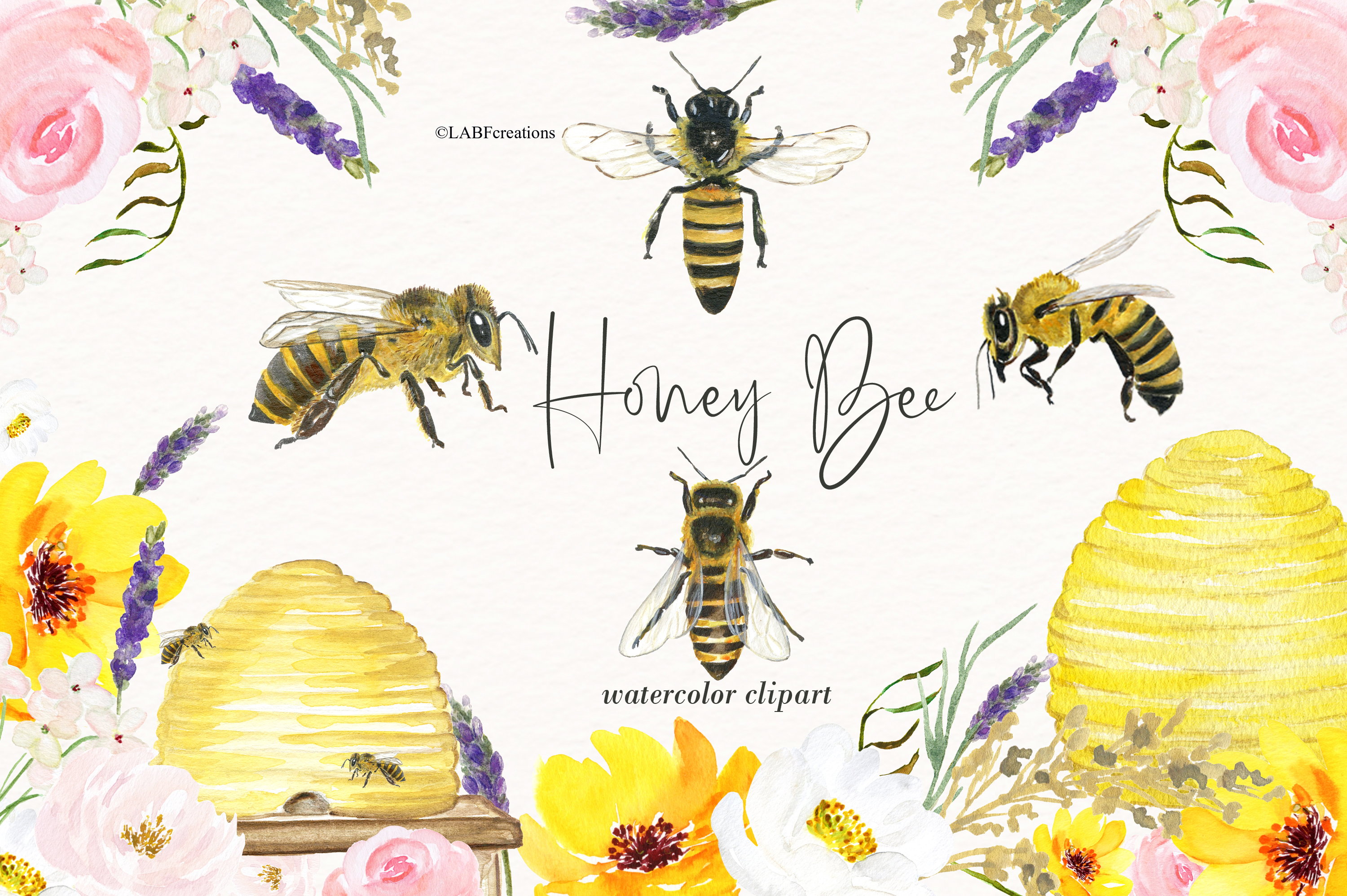 Watercolor honey bee.