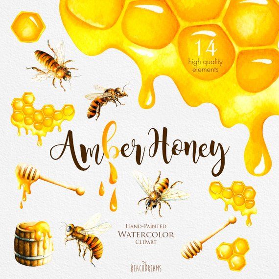 Watercolor Honey Bee Clipart, Honeycomb, Hand painted