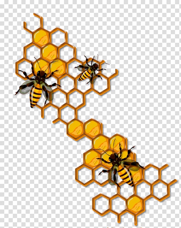 Cartoon honeycomb - hatgross