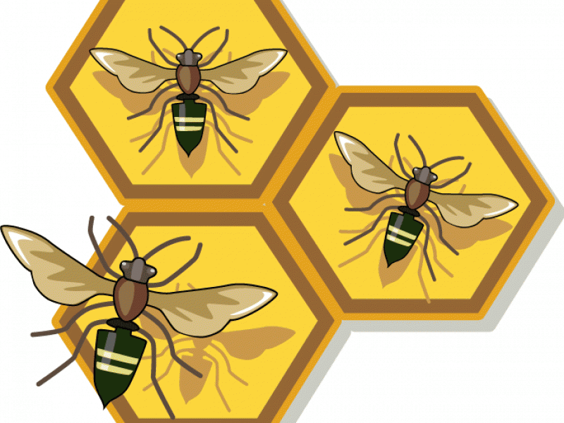 Honeycomb clipart bee pollination, Honeycomb bee pollination