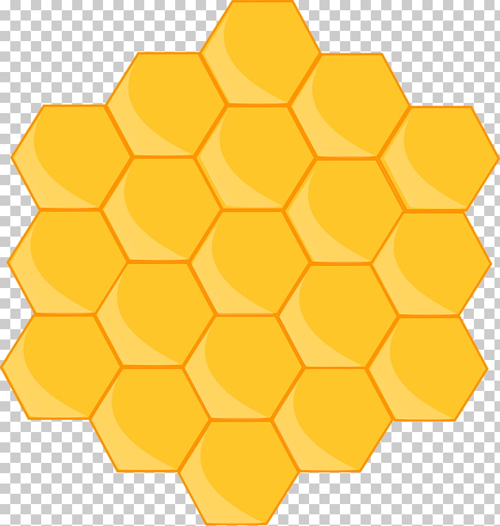 Beehive honeycomb honey.