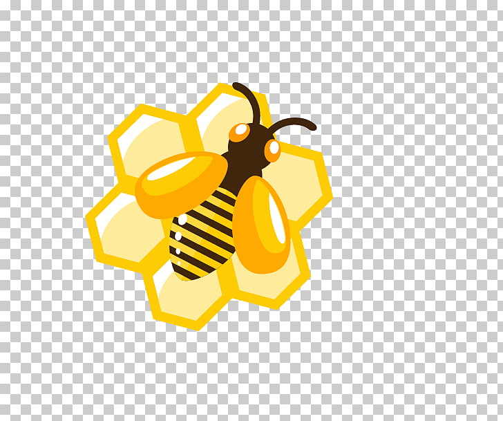 Honey bee Honey bee Honeycomb, Cartoon Honey, honeybee and