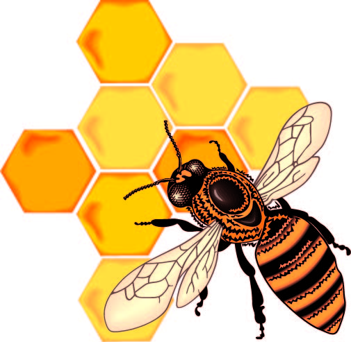 Free Honeycomb Cliparts, Download Free Clip Art, Free Clip