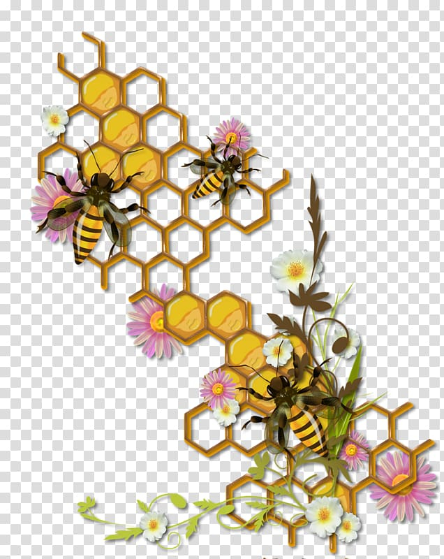 Honeycomb illustration beehive.