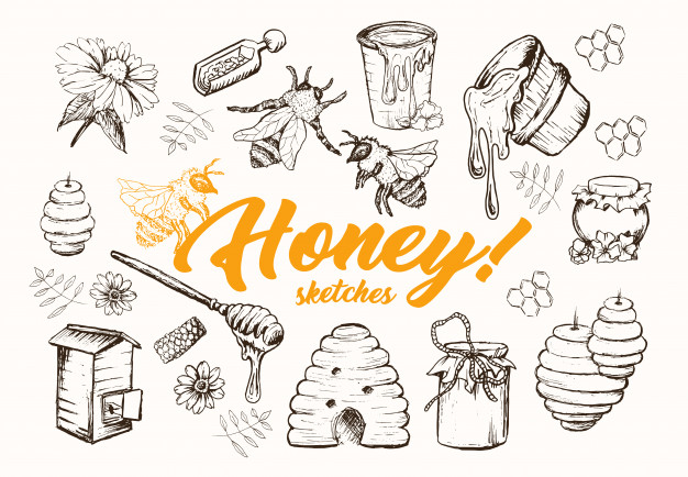Honey sketches set, beehive, honey jar, barrel, spoon hand