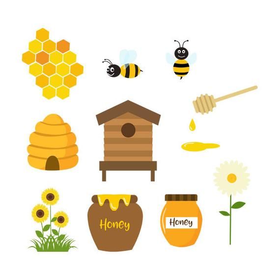 Honey Bees, Clipart, Honeycomb, Bees, Hive, Bee Hive