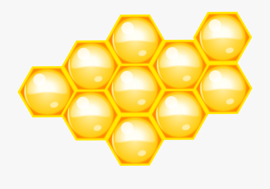 Western Honey Bee Honeycomb Beehive Computer Icons