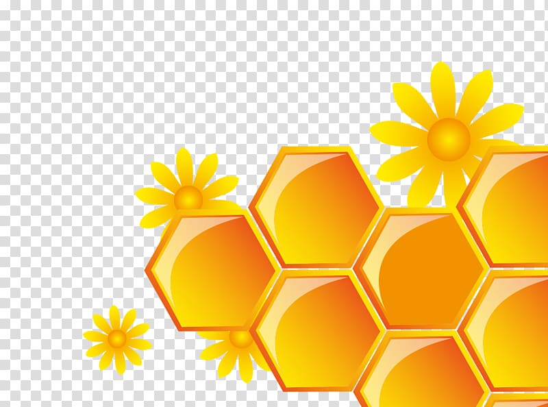Honeycomb Honey Yellow, Honey Honey grid transparent