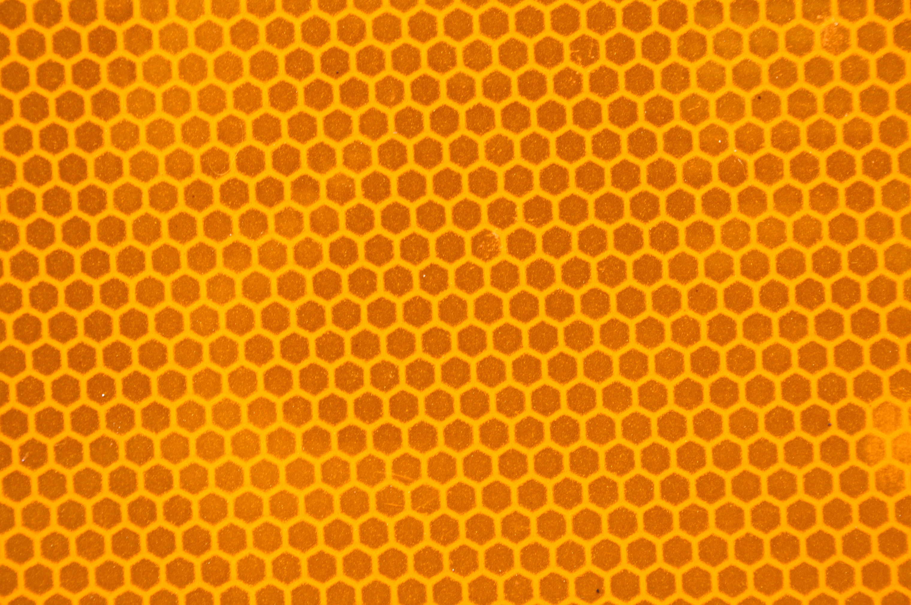 Download wallpaper honey.