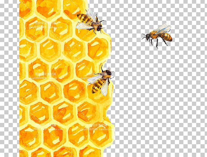 Bee honeycomb watercolor.
