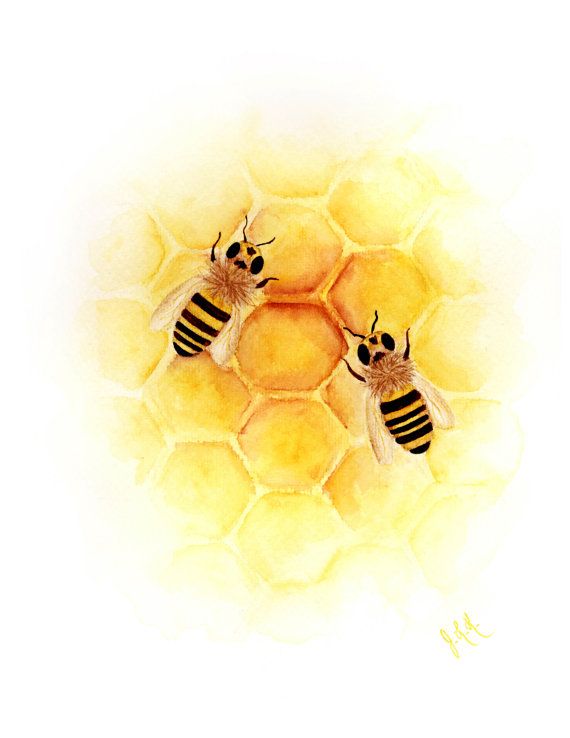 Bee Watercolor Painting Print Giclee Fine Art Archival Honey