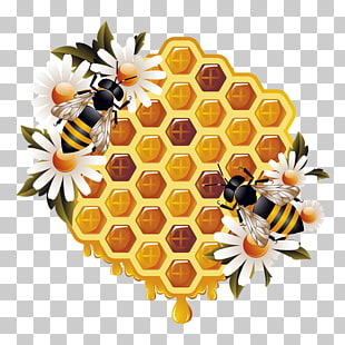 Bee Honeycomb Watercolor painting Illustration, bee, yellow