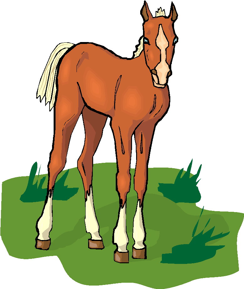 Baby horse clipart.
