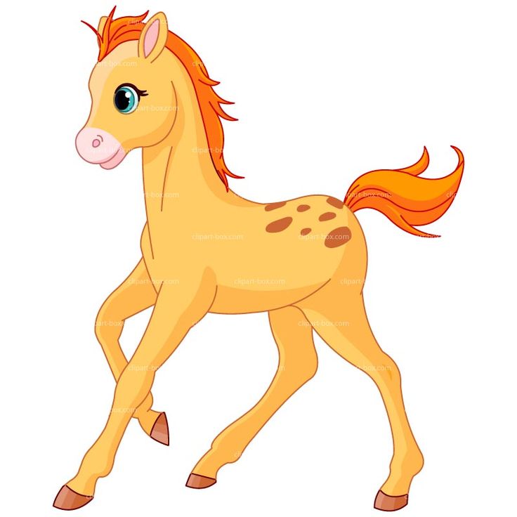 Baby horse clipart.