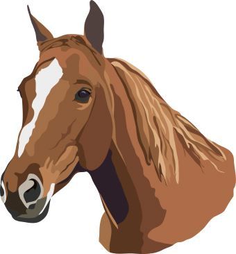 horse clipart brown