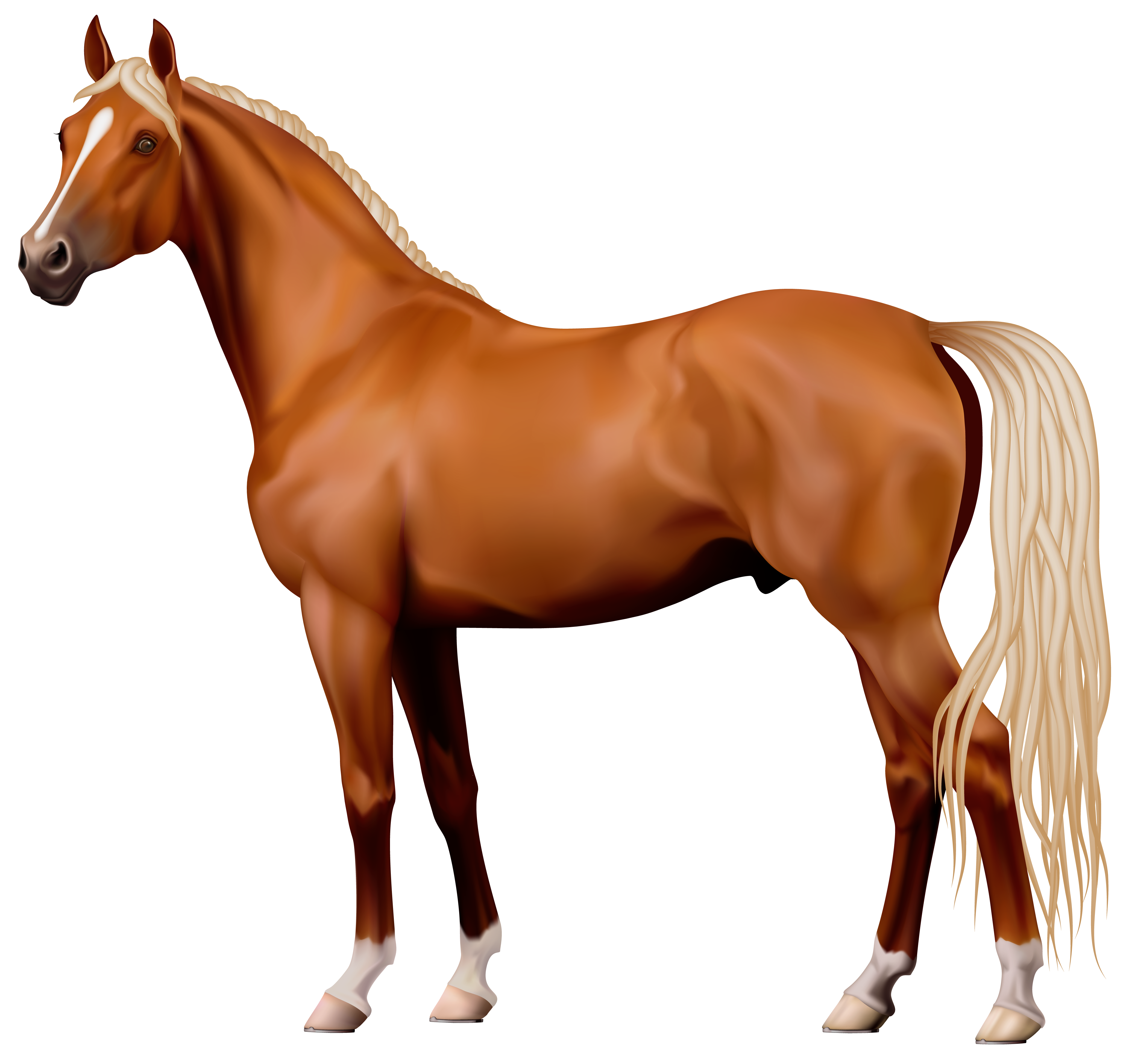 horse clipart brown