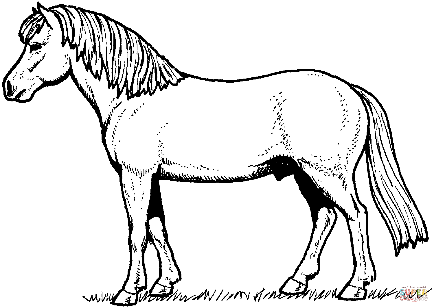 Horse coloring page.
