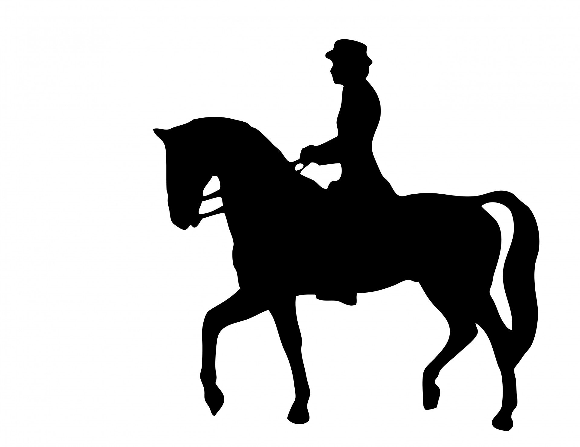 Horse riding silhouette.