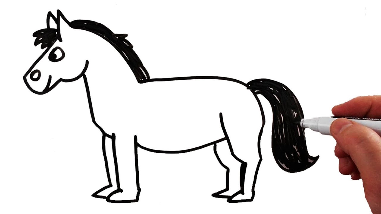 How draw horse.