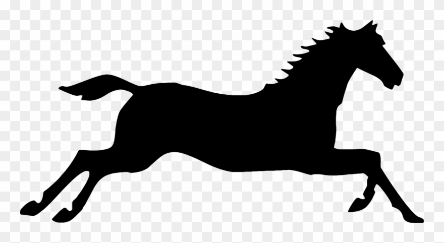 Clip Art Royalty Free Stock Arabian Horse Clipart