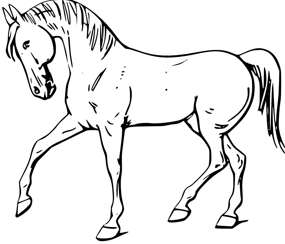 Free horse outline.