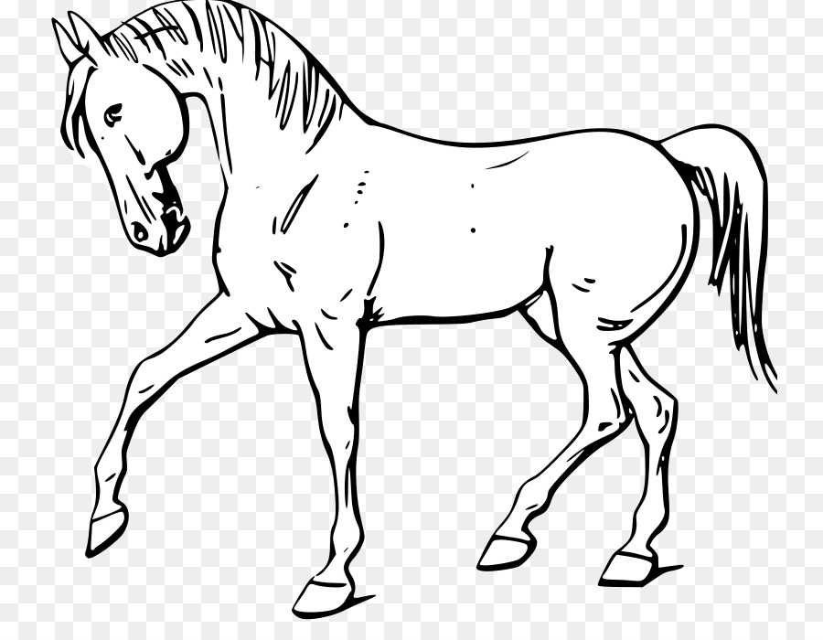 Mustang American Quarter Horse White Black Clip art