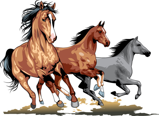 Realistic running horses vector graphics Free vector in