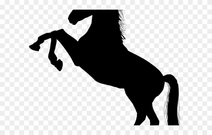 Horse clipart standing.