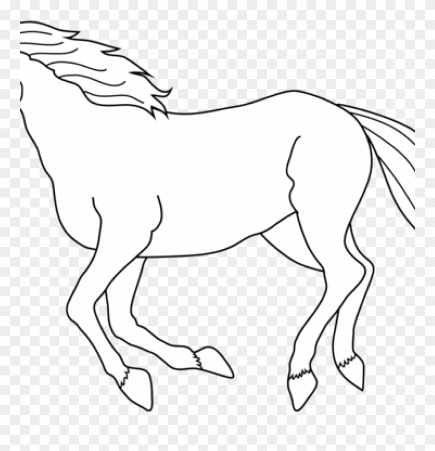 horse clipart white