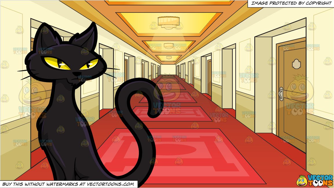 A Scary Thin Black Cat and Hallway Leading To Hotel Rooms Background