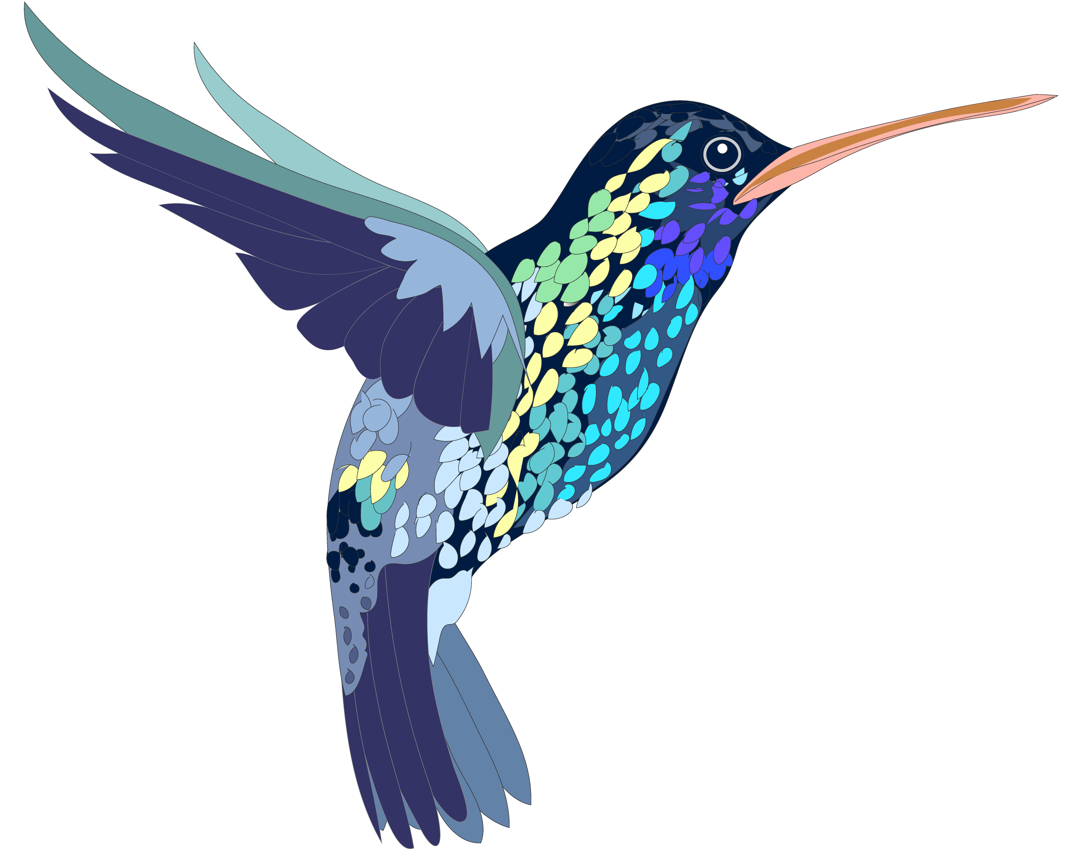 Hummingbird clipart blue pictures on Cliparts Pub 2020! 🔝