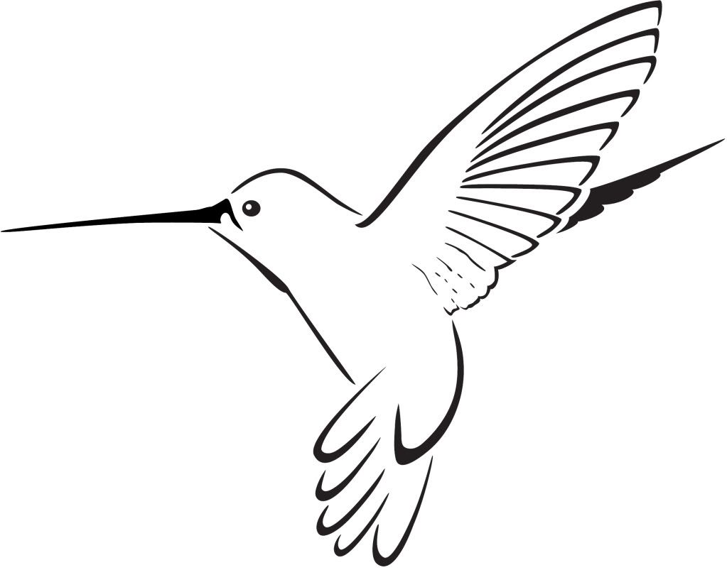 Hummingbird Clipart