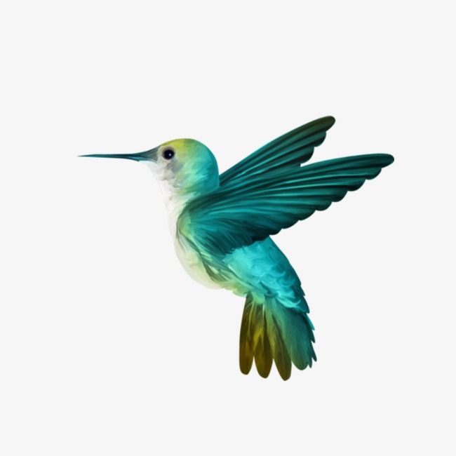 hummingbird clipart blue