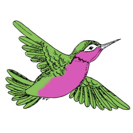 697 fancy hummingbird.