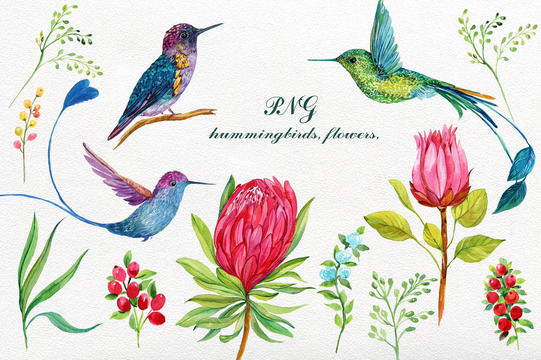 Hummingbirds exotic flowers.