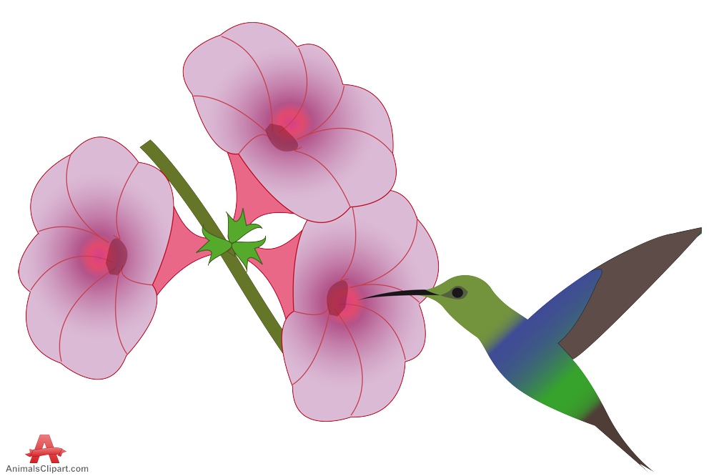 Hummingbirds and flowers clipart
