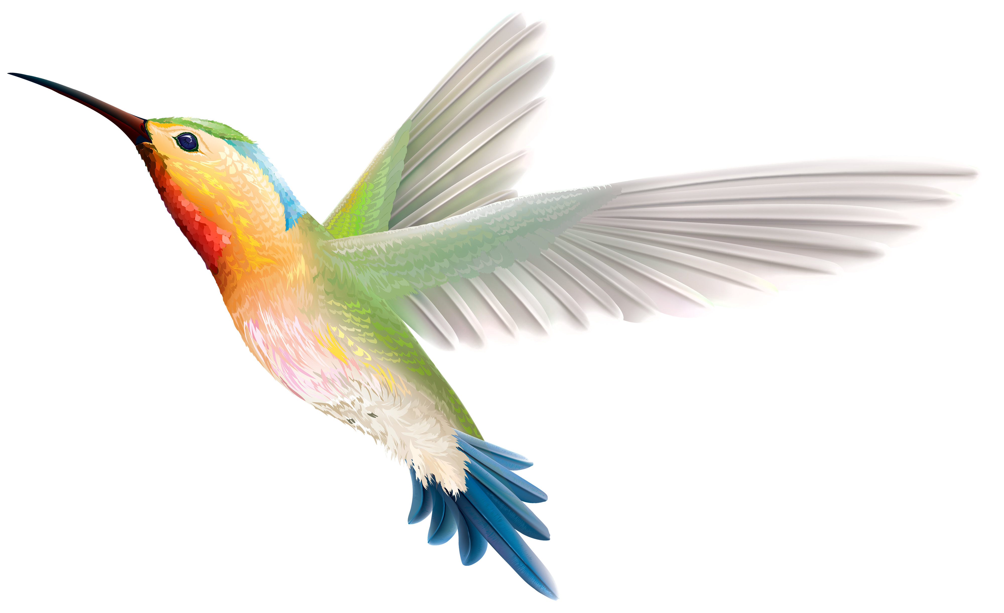 Hummingbird PNG Clipart