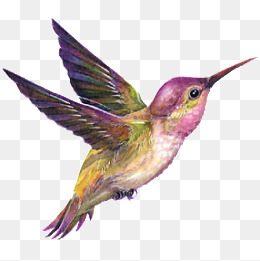 Hummingbird hummingbird clipart.