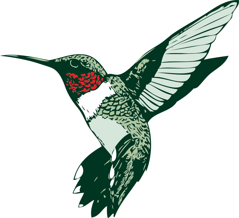 Free clipart rubythroated.