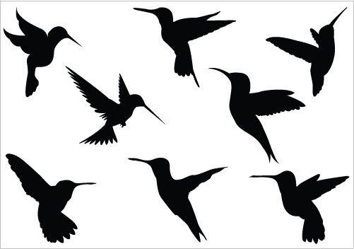 Hummingbird silhouette images.