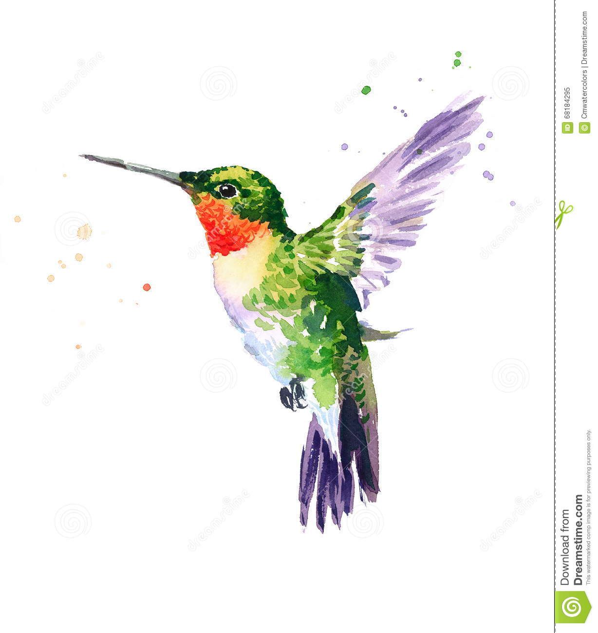 Hummingbird flying watercolor.