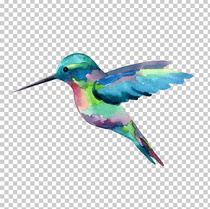 Hummingbird watercolor painting.